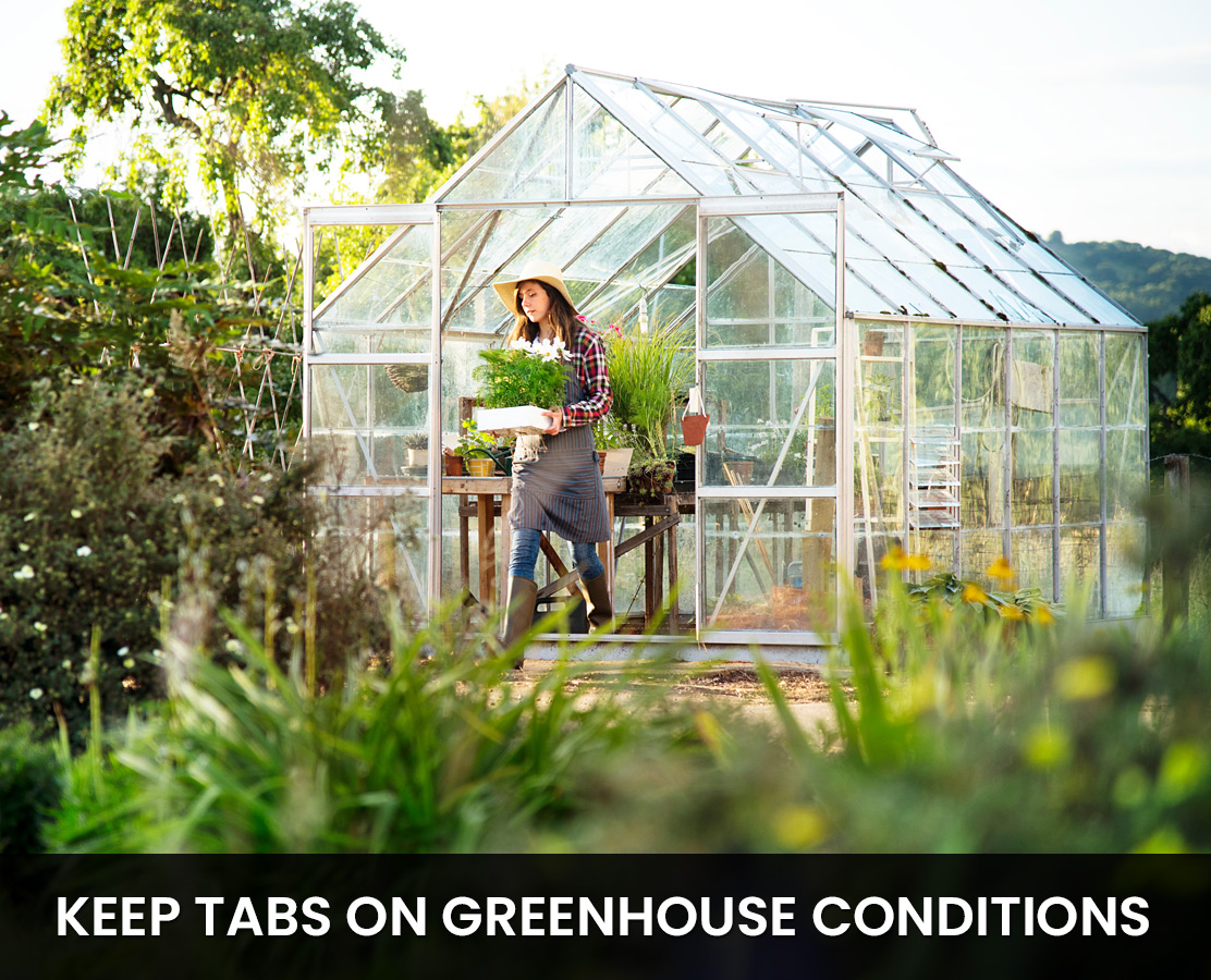 Monitor Greenhouse Conditions