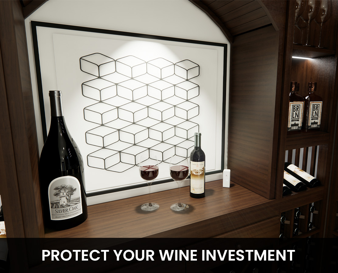 Ideal for Monitoring Wine Cellars temperature and humidity